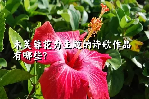 木芙蓉花为主题的诗歌作品有哪些？