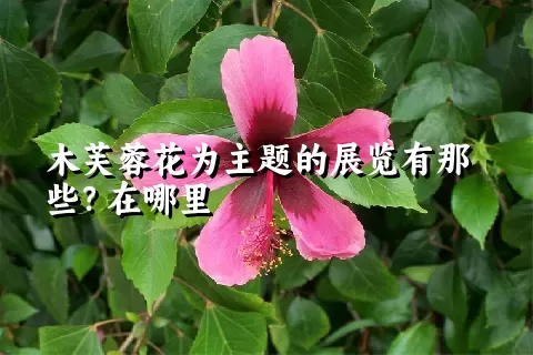 木芙蓉花为主题的展览有那些？在哪里