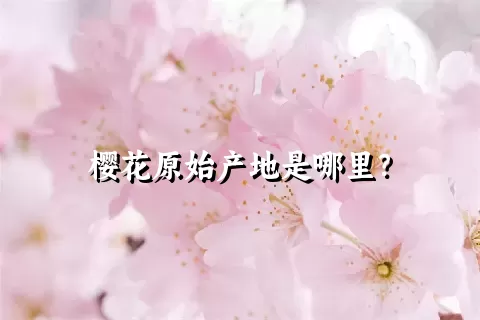 樱花原始产地是哪里？