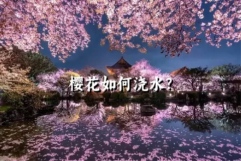 樱花如何浇水？