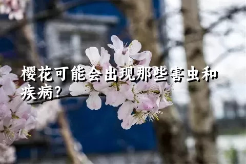 樱花可能会出现那些害虫和疾病？