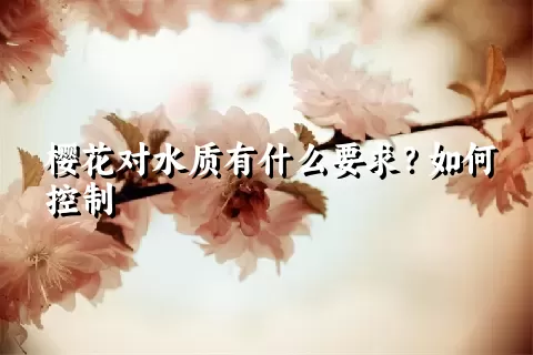 樱花对水质有什么要求？如何控制