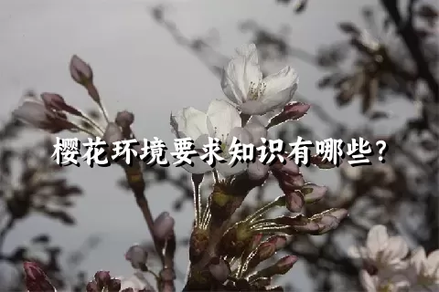 樱花环境要求知识有哪些？