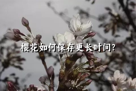 樱花如何保存更长时间？