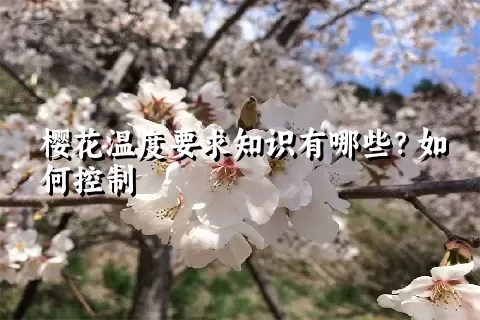 樱花温度要求知识有哪些？如何控制