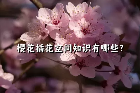 樱花插花空间知识有哪些？