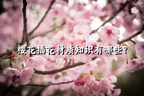 樱花插花材质知识有哪些？