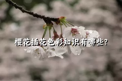 樱花插花色彩知识有哪些？