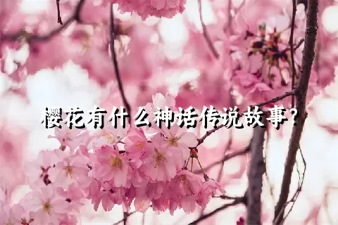 樱花有什么神话传说故事？