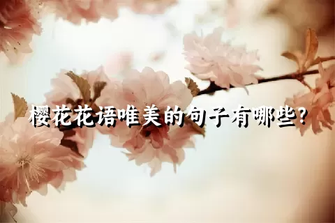 樱花花语唯美的句子有哪些？