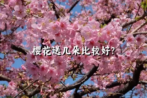 樱花送几朵比较好？