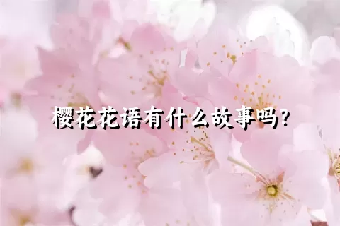 樱花花语有什么故事吗？