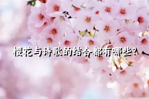 樱花与诗歌的结合都有哪些？