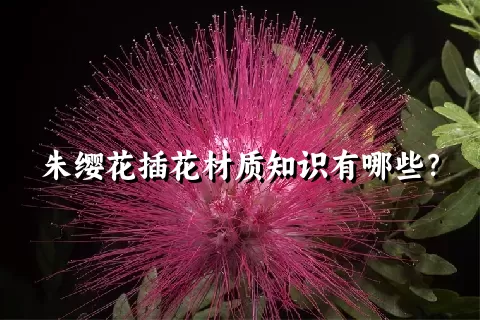 朱缨花插花材质知识有哪些？