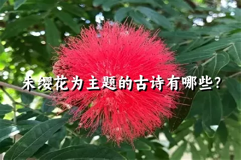 朱缨花为主题的古诗有哪些？