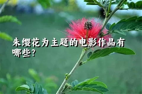 朱缨花为主题的电影作品有哪些？