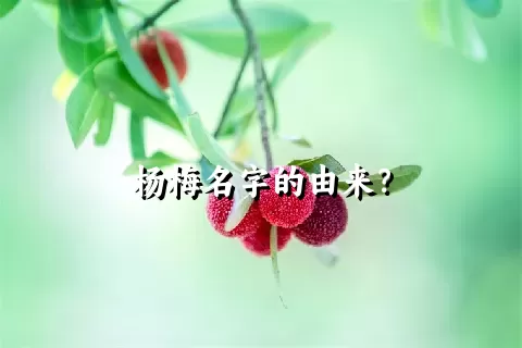 杨梅名字的由来？