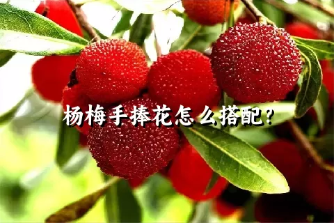 杨梅手捧花怎么搭配？