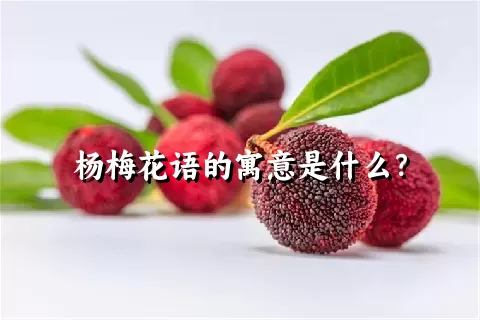 杨梅花语的寓意是什么？