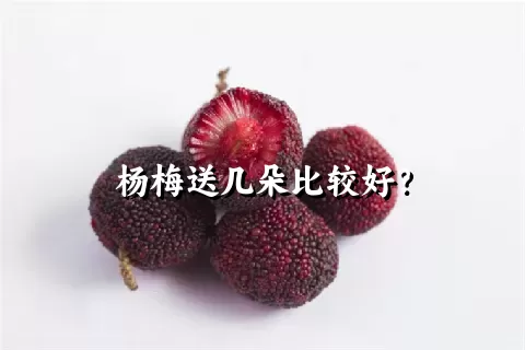 杨梅送几朵比较好？