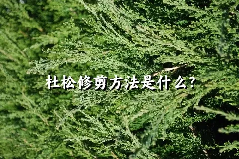 杜松修剪方法是什么？