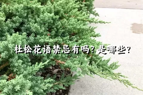 杜松花语禁忌有吗？是哪些？