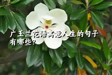 广玉兰花语寓意人生的句子有哪些？