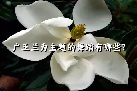 广玉兰为主题的舞蹈有哪些？