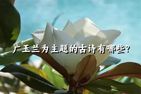 广玉兰为主题的古诗有哪些？