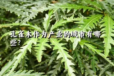 孔雀木作为产业的城市有哪些？