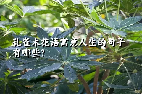 孔雀木花语寓意人生的句子有哪些？