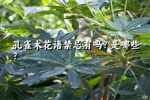 孔雀木花语禁忌有吗？是哪些？