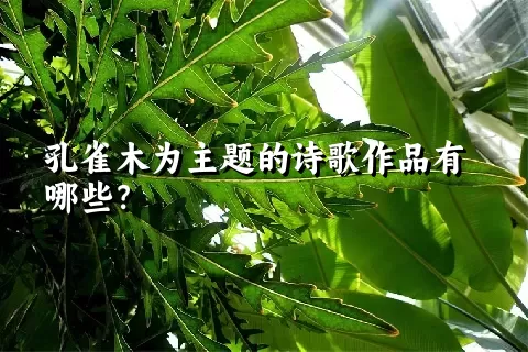 孔雀木为主题的诗歌作品有哪些？