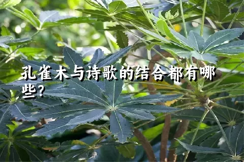 孔雀木与诗歌的结合都有哪些？