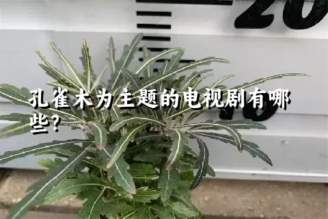 孔雀木为主题的电视剧有哪些？