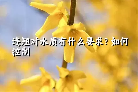 连翘对水质有什么要求？如何控制