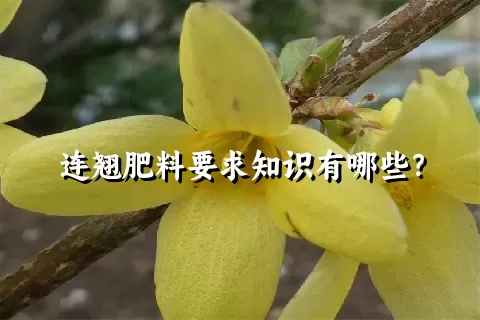 连翘肥料要求知识有哪些？