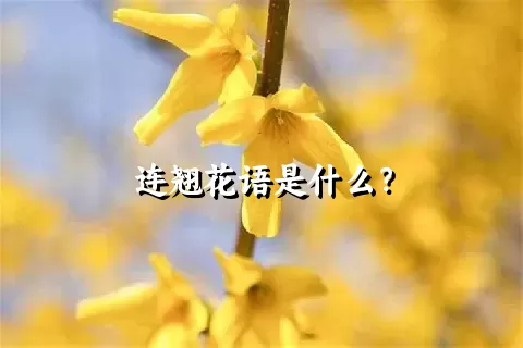 连翘花语是什么？