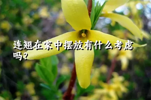 连翘在家中摆放有什么考虑吗？