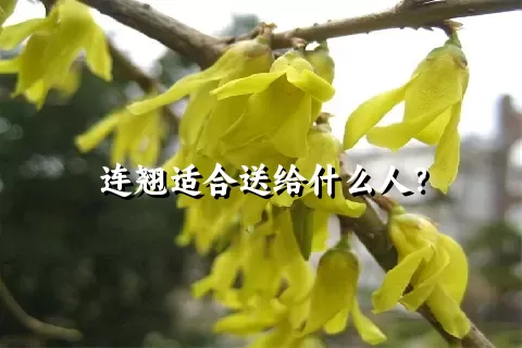 连翘适合送给什么人？