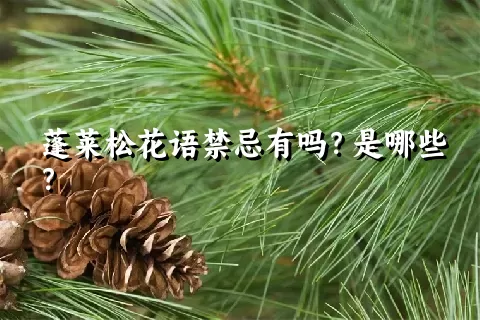 蓬莱松花语禁忌有吗？是哪些？