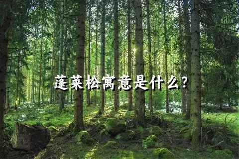 蓬莱松寓意是什么？