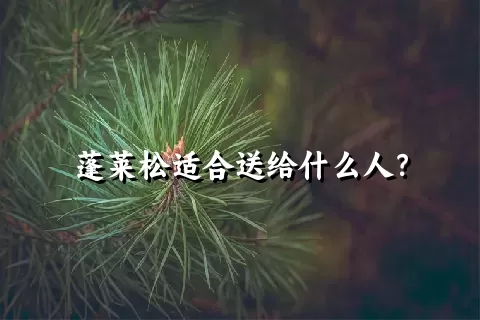 蓬莱松适合送给什么人？