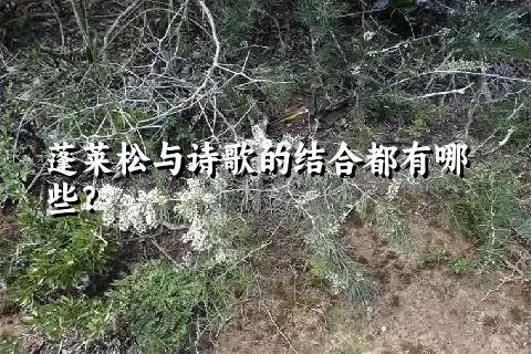 蓬莱松与诗歌的结合都有哪些？