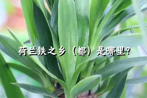 荷兰铁之乡（都）是哪里？