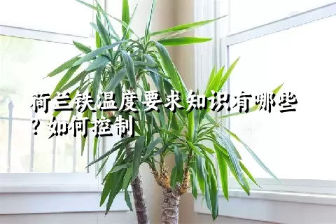 荷兰铁温度要求知识有哪些？如何控制