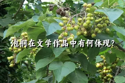 泡桐在文学作品中有何体现？