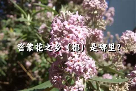 密蒙花之乡（都）是哪里？