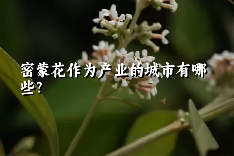 密蒙花作为产业的城市有哪些？