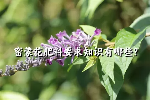 密蒙花肥料要求知识有哪些？